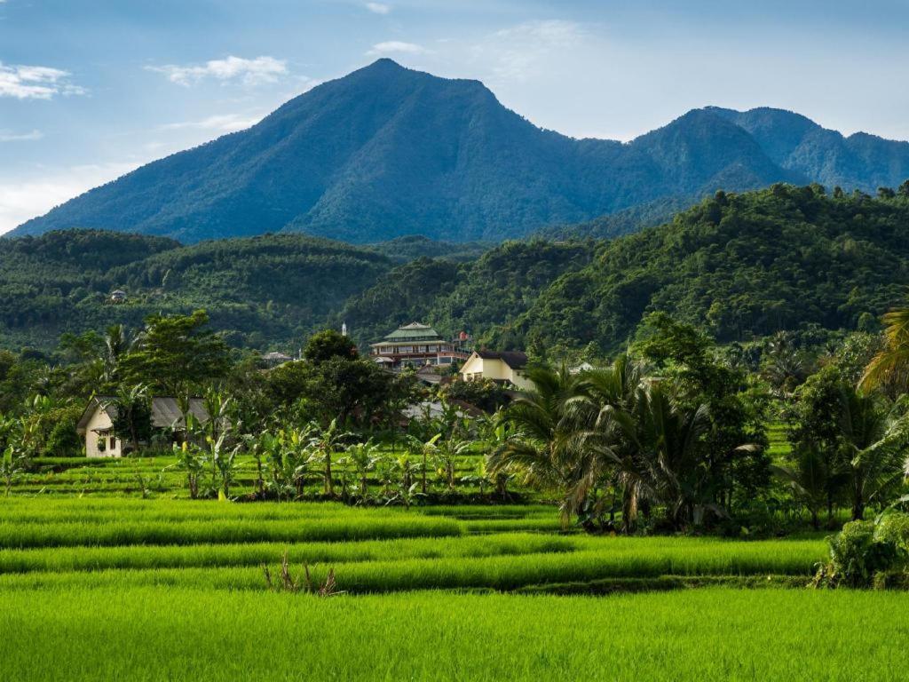 Bianco Costel Hotel Bogor Buitenkant foto